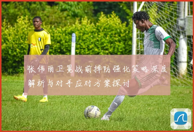 张伟丽卫冕战前摔防强化策略深度解析与对手应对方案探讨